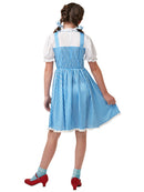 Dorothy Wizard of Oz Kansas Child Costume
