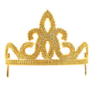 Womens Tiara Plastic Gold Costume Accessories Female Dozen Halloween_1 BA200