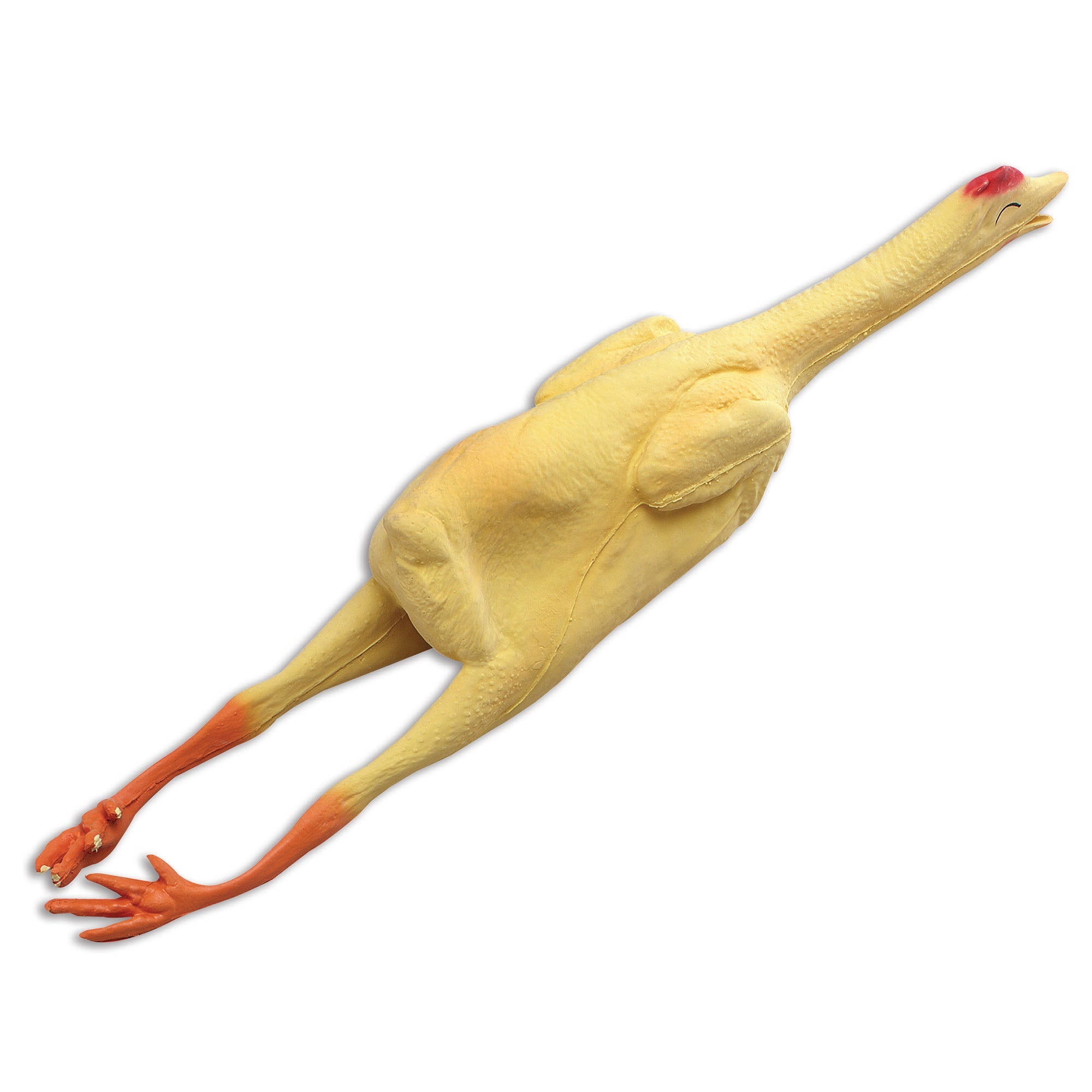 Chicken Plucked 23 Inch Rubber Joke Prop Chicken Plucked 23 Inch Rubber Joke Prop