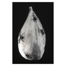 Animated Hanging Spider Larva Decoration Adult Glow In The Dark_2