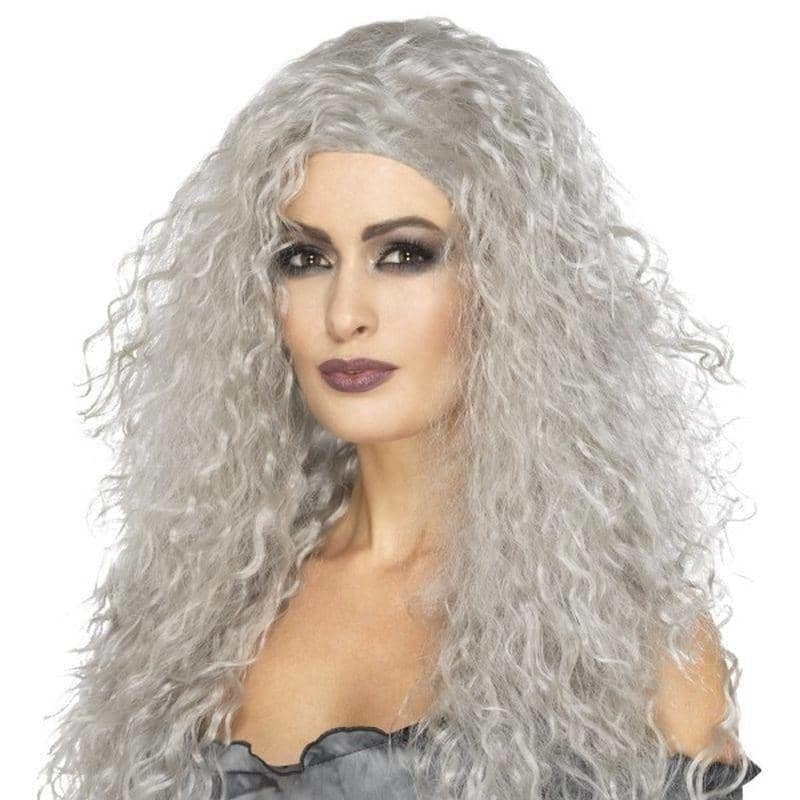 Banshee Wig Adult Grey Long Banshee Wig Adult Grey Long