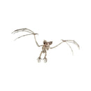 Bat Skeleton Prop Adult Natural_2