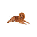 Deluxe Lion’s Mane For Pets_1 rub-580426NS