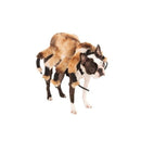 Giant Spider Pet Suit_1 rub-580358S