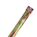 Hawaiian Hula Skirt Adult_2