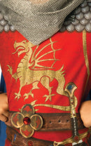 King Arthur Costume_3