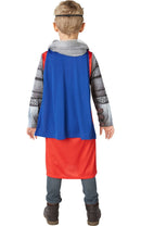 King Arthur Costume_2 rub-630701M