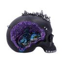 Crystal Cave Small Dragon Hiding within a Skull 16.5cm