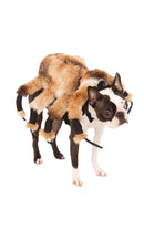 Giant Spider Costume Rubies GENERIC 23466