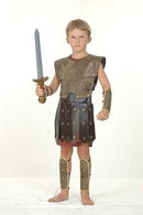 Warrior Medium Childrens Costumes Male Medium 7 9 Years Boys Bristol Novelty Childrens Costumes 2283