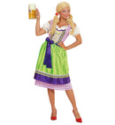 Dirndl  Dress With Apron 