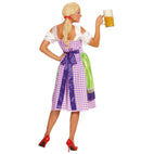 Dirndl  Dress With Apron 