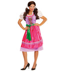 Dirndl  Dress With Apron 