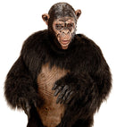 Chimpanzee 3/4 Open Mouth Mask For Children