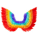 Rainbow Feathered Wings 60X40 Cm