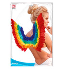 Rainbow Feathered Wings 60X40 Cm