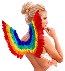Rainbow Feathered Wings 60X40 Cm