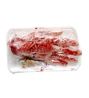 Packaged Bloody Cut-Off Hand