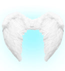 White Feather Wings 50X40 Cm