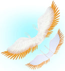 White & Gold Feathered Wings 100X25 Cm