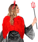 Red Feathered Wings With Marabou Trim &  46X48 Cm