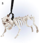 Skeleton Dog With Leash 45 Cm