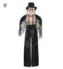 Groom Skeleton 153 Cm