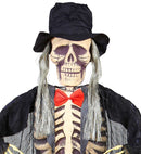 Groom Skeleton 153 Cm