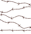 Barbed Wire 2,1 M
