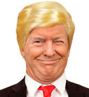 The President Wig In Polybag