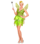 Fantasy Fairy  Dress, Wings 