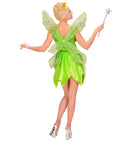 Fantasy Fairy  Dress, Wings 