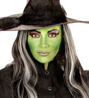 Witch Makeup Set  4 Makeup Sticks, Black & Green Makeup In Tray, Applicator 