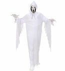 Ghost  Robe, Hooded Mask 