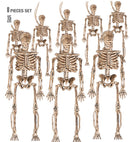 Set Of “8 Skeletons” 15 Cm  With 11 M Cord For Hanging 