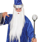 Wizard Wig & Beard In Polybag