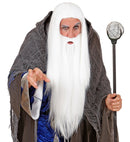 Wizard Wig & Beard In Polybag