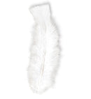 50 Feathers White - Abt. 10 Cm