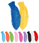 50 Feathers Multicolor - Abt. 10Cm