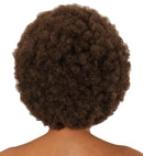 Afro Dream Hair Wig In Color Box