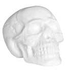 Sound Sensor Activated Skull Withcolor Changing Kaleidoscope Lights& Eerie Sounds 32 Cm