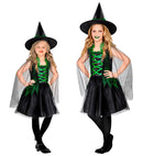 Wicked Witch  Dress, Hat 