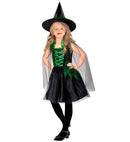 Wicked Witch  Dress, Hat 