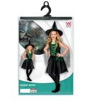 Wicked Witch  Dress, Hat 