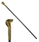 Collapsible Pharaoh'S Cane 110 Cm