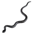 Set Of 12 Snakes 12,5 Cm