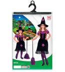 Witch  Dress With Crinoline Underskirt, Hat 