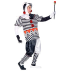 Harlequin  Coat, Pants, Headpiece, Gloves 