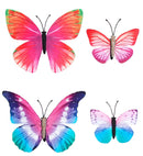 Set Of 4 Butterfly Hair Clips 4 Colors Ass.
