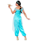 Arabian Princess  Top, Pants, Headband 